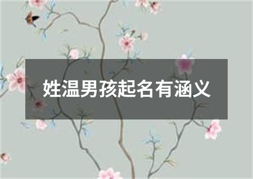 姓温男孩起名有涵义