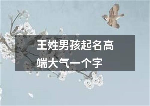 王姓男孩起名高端大气一个字