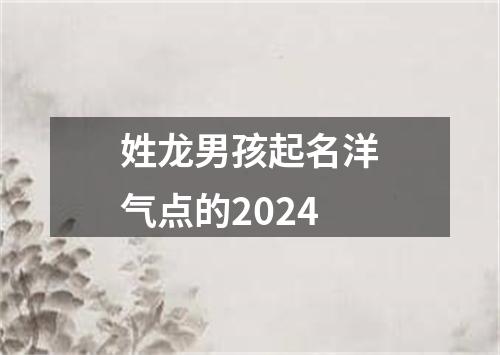 姓龙男孩起名洋气点的2024