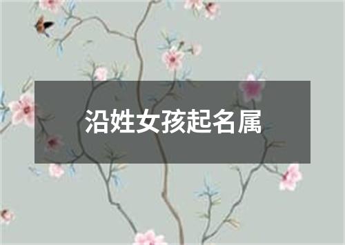 沿姓女孩起名属