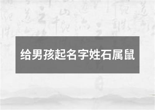 给男孩起名字姓石属鼠