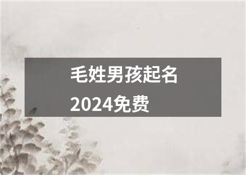 毛姓男孩起名2024免费