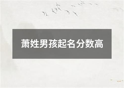 萧姓男孩起名分数高