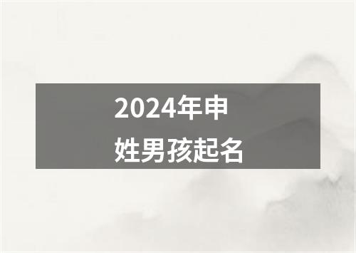 2024年申姓男孩起名