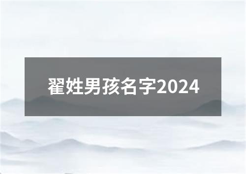 翟姓男孩名字2024