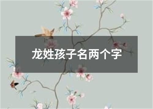 龙姓孩子名两个字