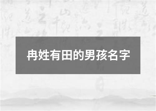 冉姓有田的男孩名字