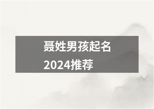 聂姓男孩起名2024推荐