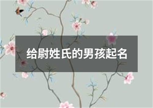 给尉姓氏的男孩起名