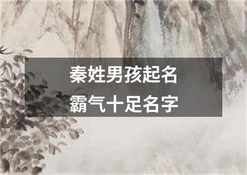 秦姓男孩起名霸气十足名字