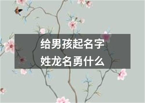 给男孩起名字姓龙名勇什么