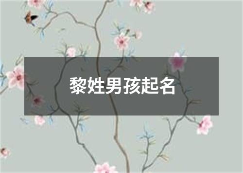 黎姓男孩起名