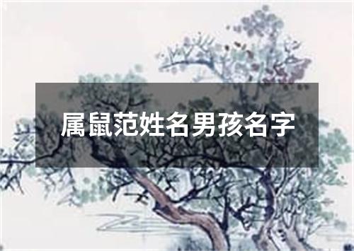 属鼠范姓名男孩名字