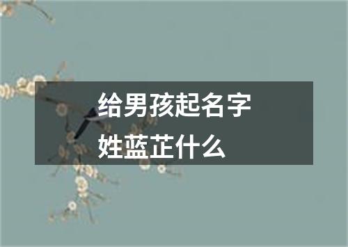 给男孩起名字姓蓝芷什么