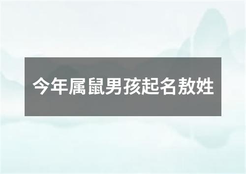 今年属鼠男孩起名敖姓