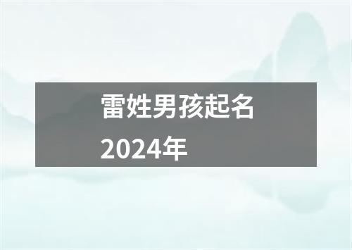 雷姓男孩起名2024年