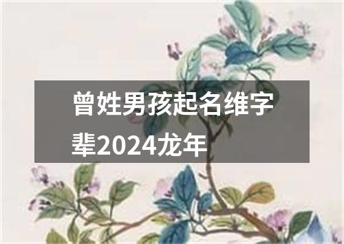 曾姓男孩起名维字辈2024龙年