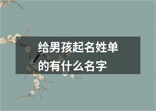 给男孩起名姓单的有什么名字