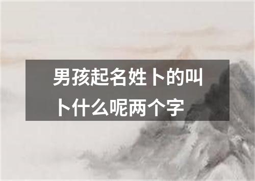 男孩起名姓卜的叫卜什么呢两个字