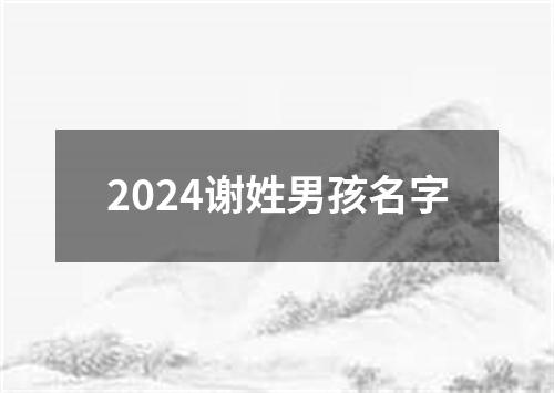 2024谢姓男孩名字