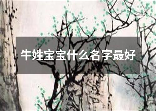 牛姓宝宝什么名字最好