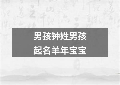 男孩钟姓男孩起名羊年宝宝