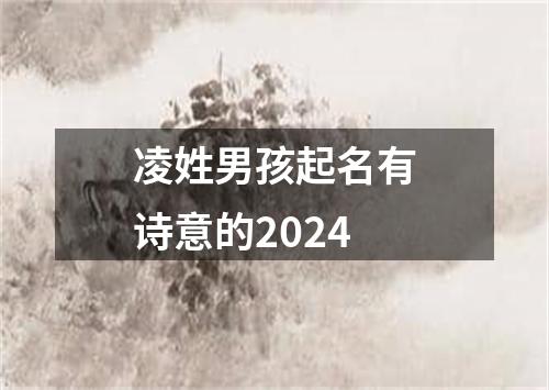 凌姓男孩起名有诗意的2024