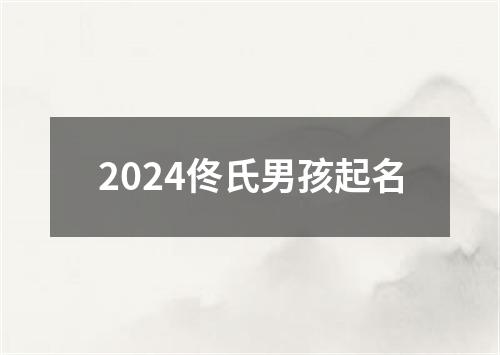 2024佟氏男孩起名