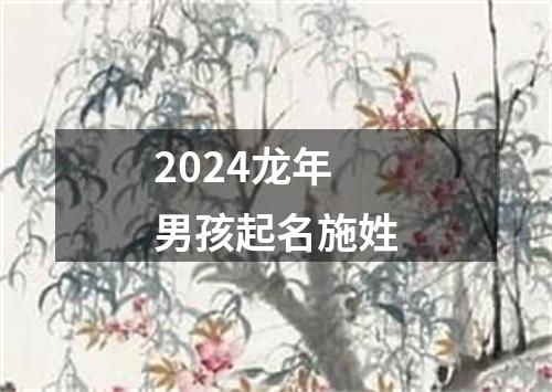 2024龙年男孩起名施姓