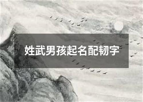 姓武男孩起名配韧字