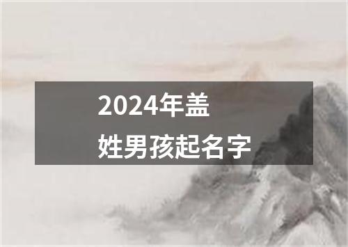 2024年盖姓男孩起名字