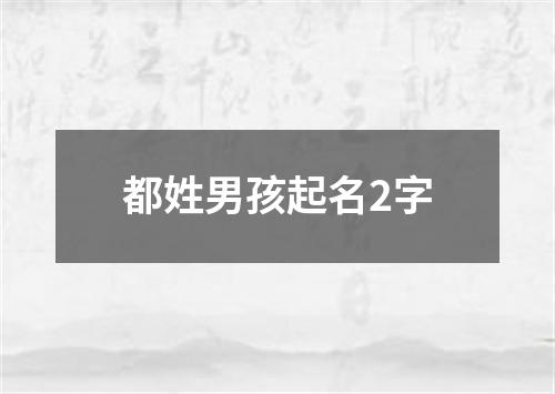 都姓男孩起名2字