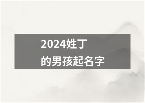 2024姓丁的男孩起名字