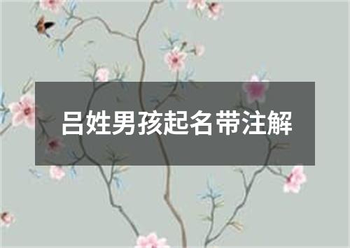 吕姓男孩起名带注解