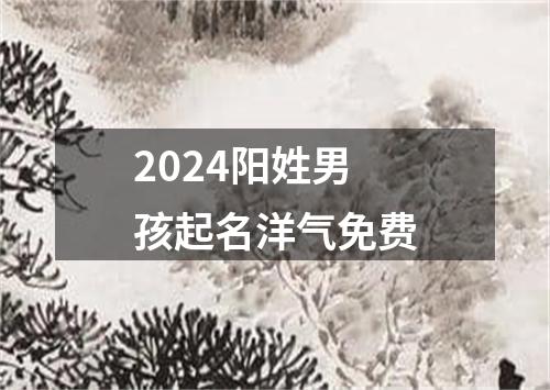 2024阳姓男孩起名洋气免费