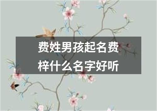 费姓男孩起名费梓什么名字好听