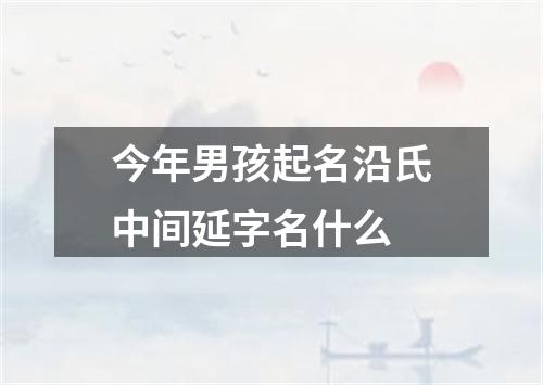 今年男孩起名沿氏中间延字名什么