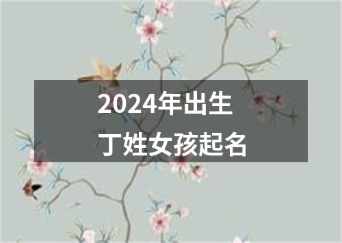 2024年出生丁姓女孩起名