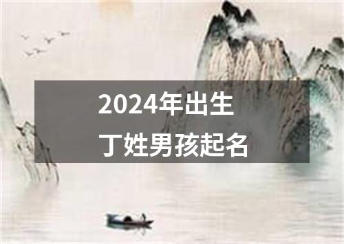 2024年出生丁姓男孩起名