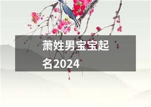 萧姓男宝宝起名2024