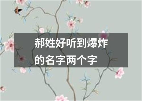 郝姓好听到爆炸的名字两个字