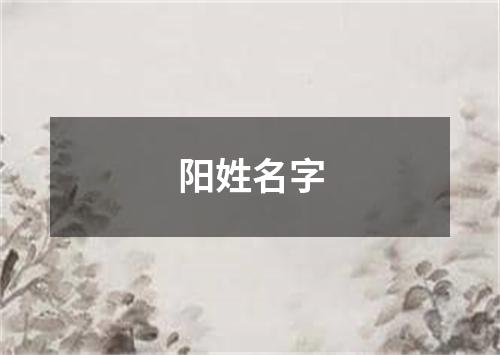 阳姓名字