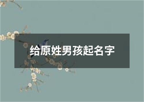 给原姓男孩起名字