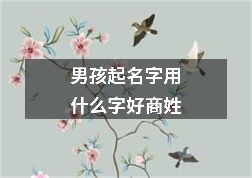 男孩起名字用什么字好商姓