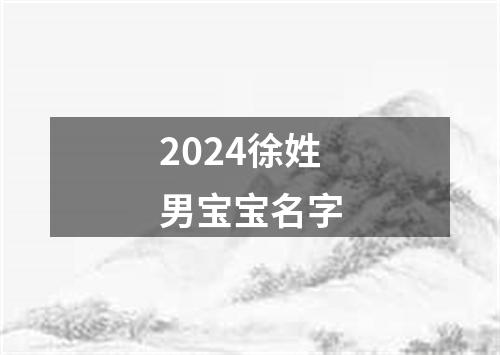 2024徐姓男宝宝名字