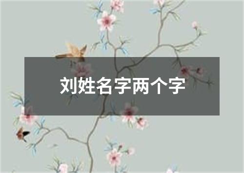 刘姓名字两个字