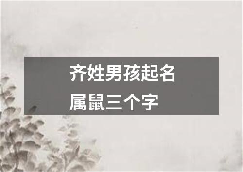 齐姓男孩起名属鼠三个字