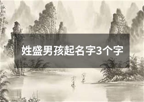 姓盛男孩起名字3个字