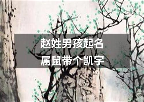 赵姓男孩起名属鼠带个凯字