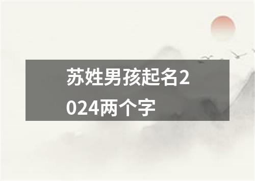 苏姓男孩起名2024两个字